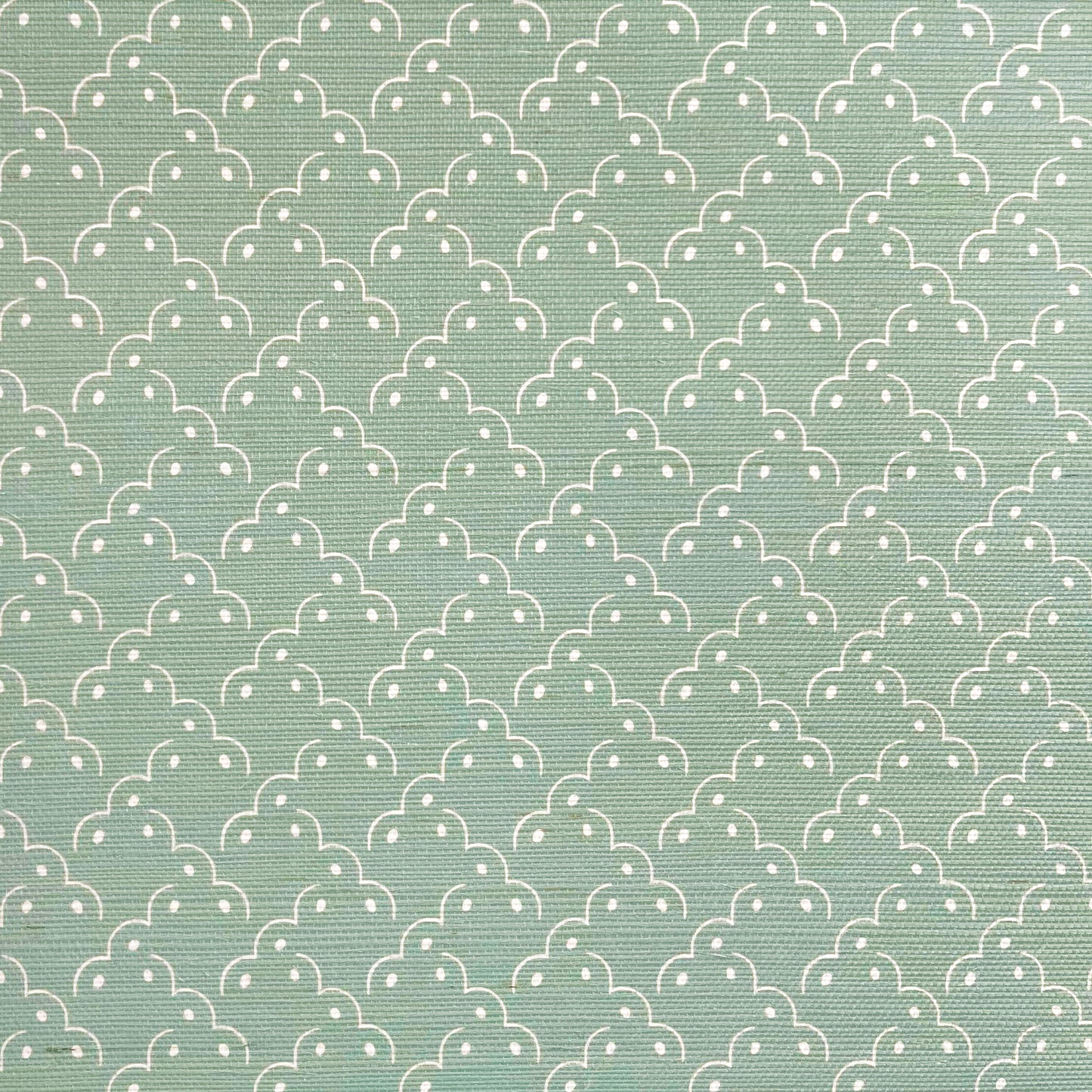 Frogspawn Grasscloth Wallpaper - Soft Sage and White