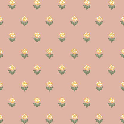 Indian Tulips - Pink and Yellow
