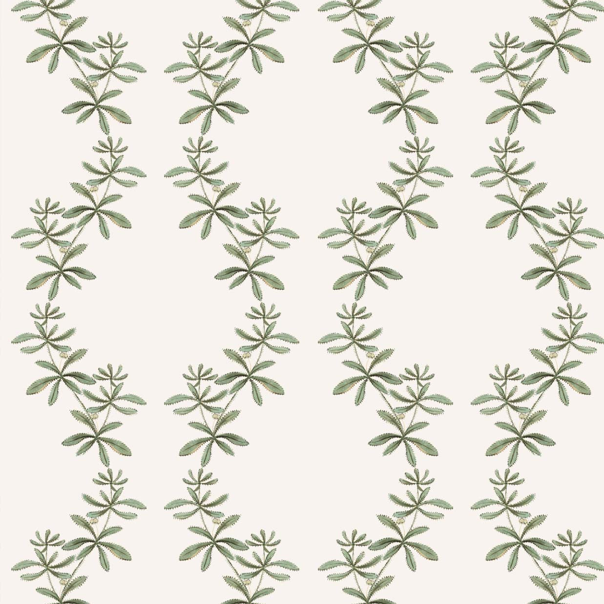 Catchweed Wallpaper