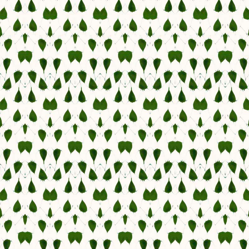 Porcelain Wings Wallpaper - Green