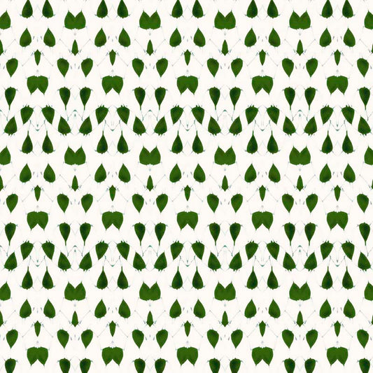 Porcelain Wings Wallpaper - Green